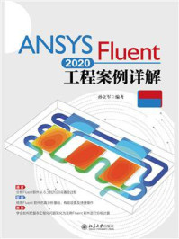 《ANSYS Fluent2020工程案例详解（视频教程版）》-孙立军