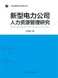 《新型电力公司人力资源管理研究》-许进超