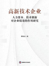 《高新技术企业人力资本、技术创新对企业绩效的作用研究》-瞿晓龙