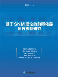 《基于SNM理论的前孵化器运行机制研究》-罗嘉文