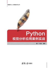 《Python视觉分析应用案例实战》-丁伟雄