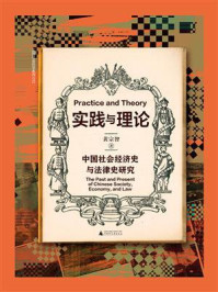 《实践与理论：中国社会经济史与法律史研究》-黄宗智