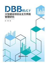 《DBB模式下大型建设项目业主方界面管理研究》-刘博