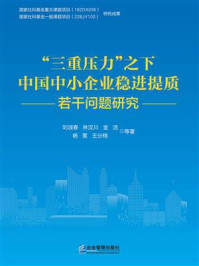 《“三重压力”之下中国中小企业稳进提质若干问题研究》-刘淑春