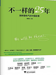 《不一样的25年：施耐德电气的中国故事》-陈斯文