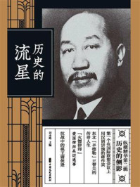 《历史的流星》-刘未鸣