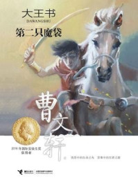 《第二只魔袋（曹文轩大王书系列5）》-曹文轩