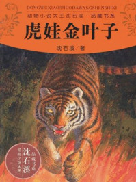 《虎娃金叶子》-沈石溪