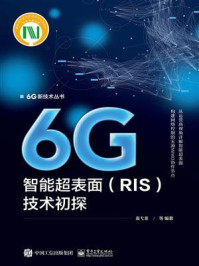 《6G智能超表面（RIS）技术初探》-袁弋非