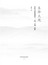 《中医气化结构理论：道、天地、阴阳》-王朝阳