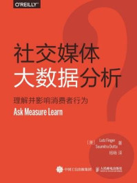 《社交媒体大数据分析：理解并影响消费者行为》-Lutz Finger