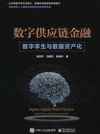 《数字供应链金融：数字孪生与数据资产化》-段伟常